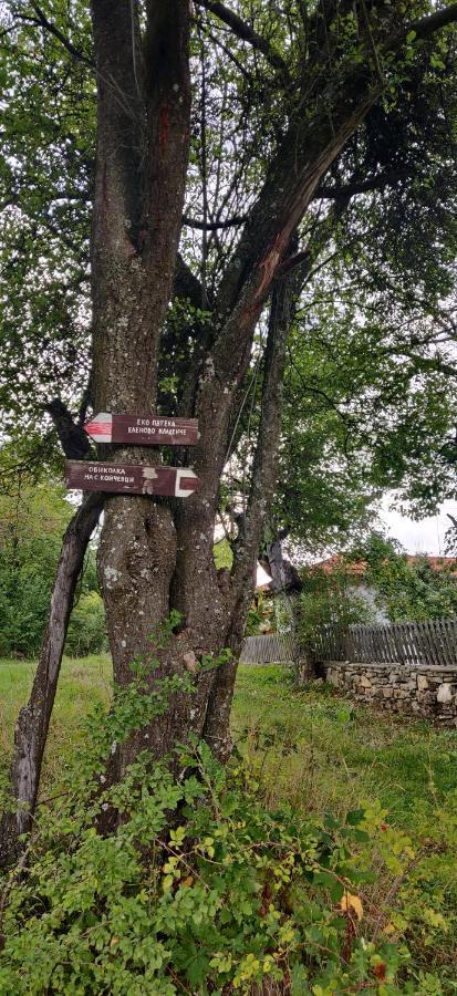 Старата Къща - Трявна Villa Kültér fotó
