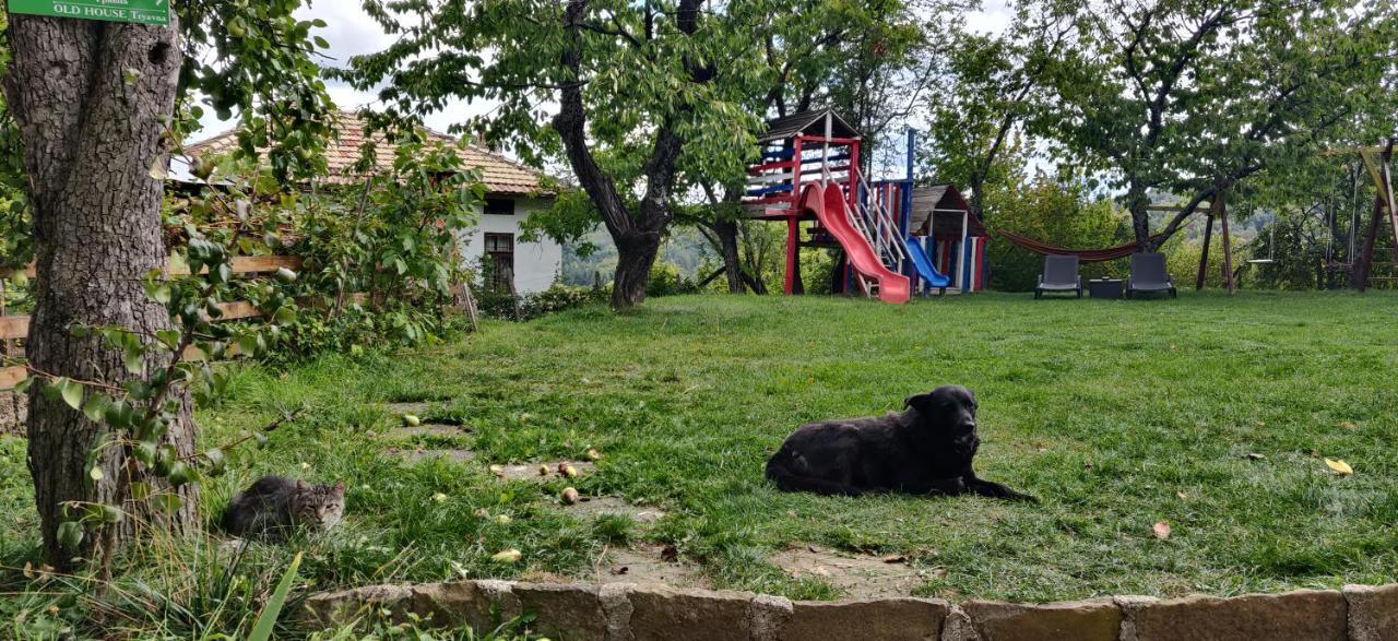 Старата Къща - Трявна Villa Kültér fotó